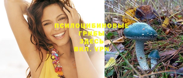 ешки Абинск