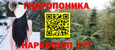 apvp Гагарин