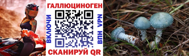 Псилоцибиновые грибы Psilocybe  hydra ССЫЛКА  Златоуст  продажа наркотиков 